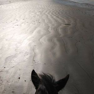 Meet your Posher, Monika